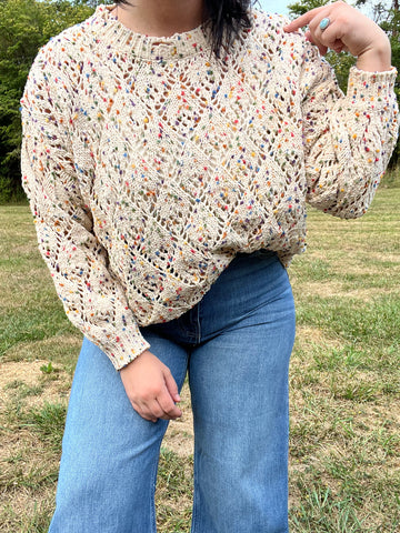 Confetti Crochet Sweater